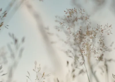 Comment trouver votre vraie direction quand tout semble flou ?